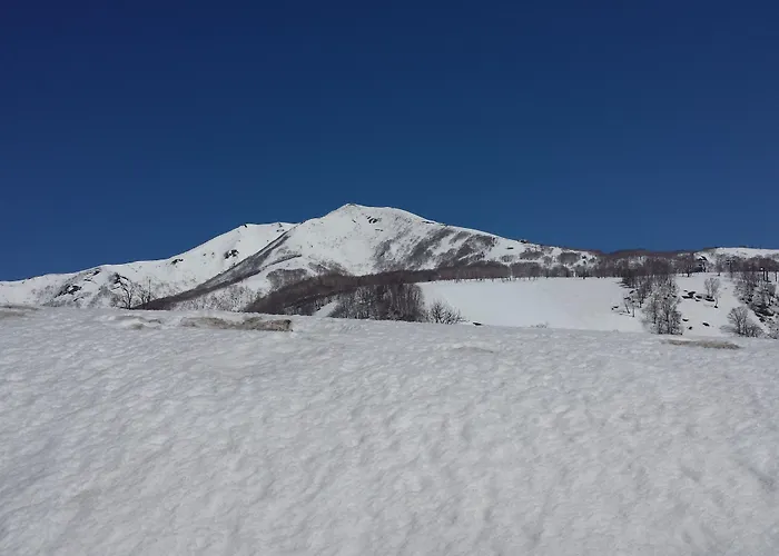 Annupuri Mountain View Lodge
